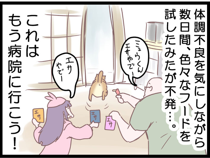 猫にご飯を食べさせようと画策する飼い主