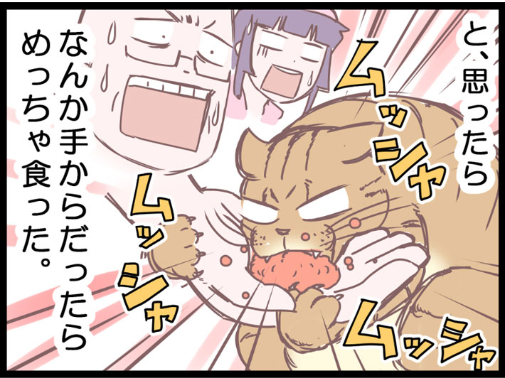 飼い主の手にのったご飯はよく食べた猫