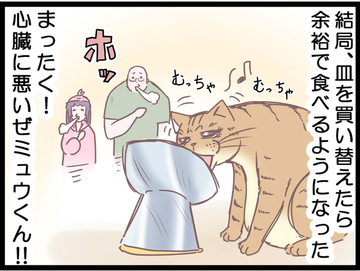 皿が変わって満足気にご飯を食べる猫