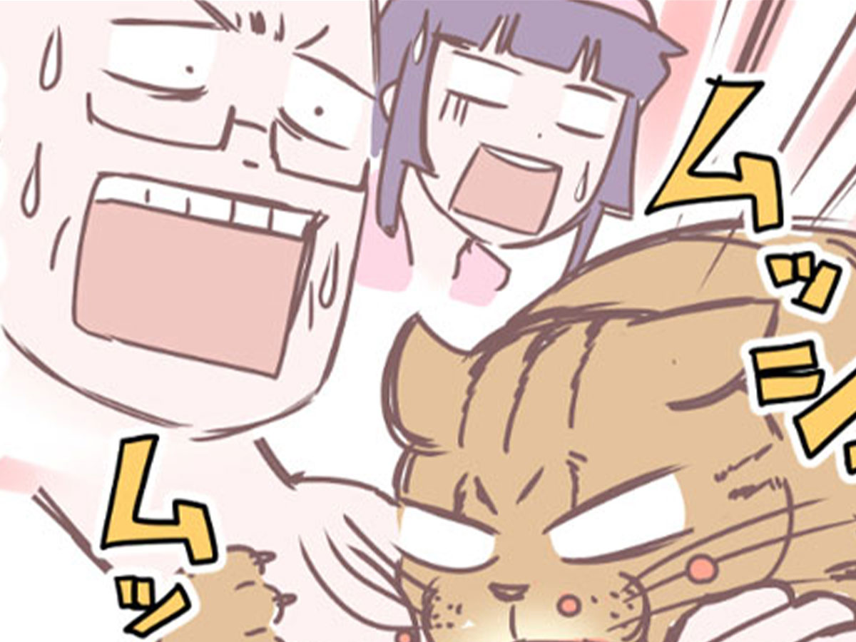 『大丈夫⁉飼い猫が食欲不振に…のまき』の漫画画像