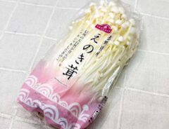 エノキの写真