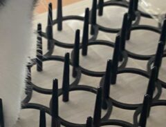 猫の画像