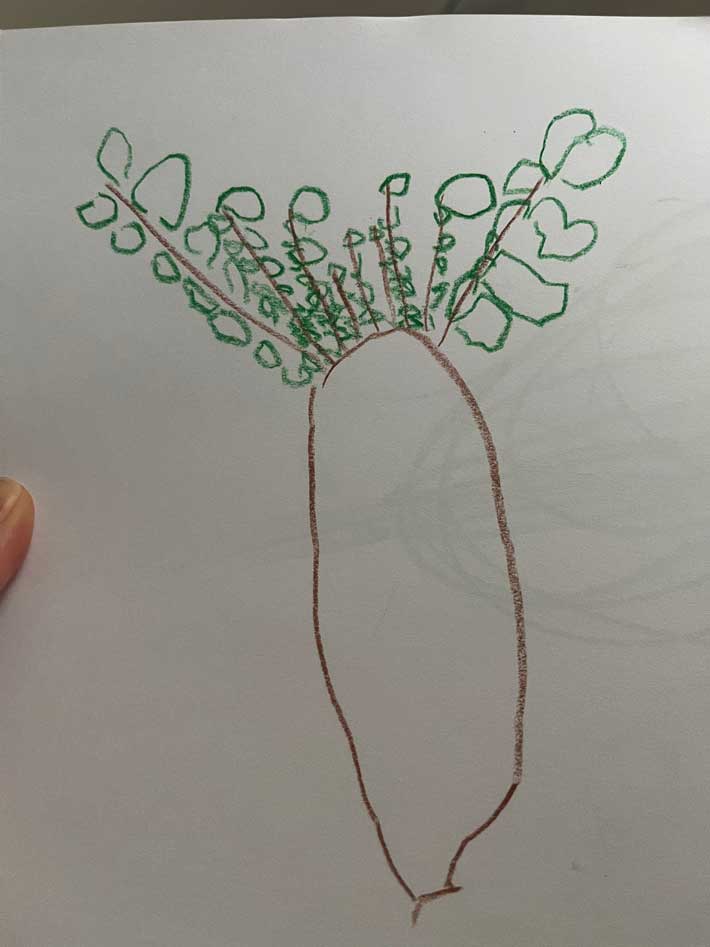 木の絵の画像