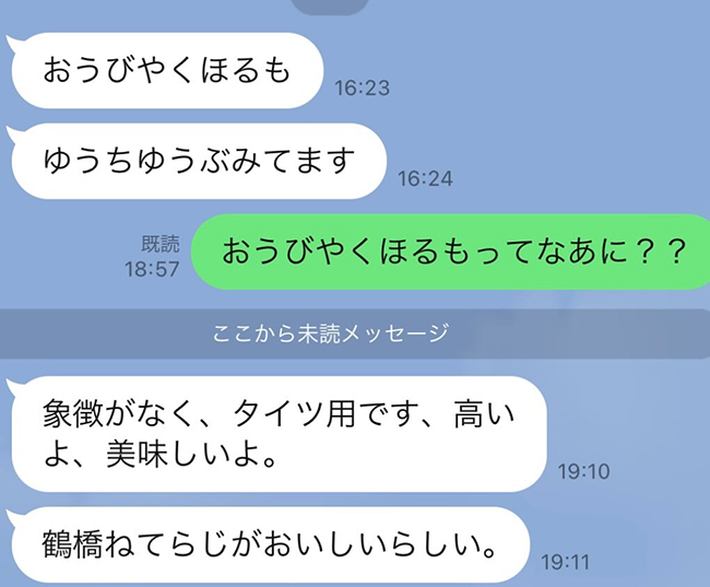曾祖母とのLINE