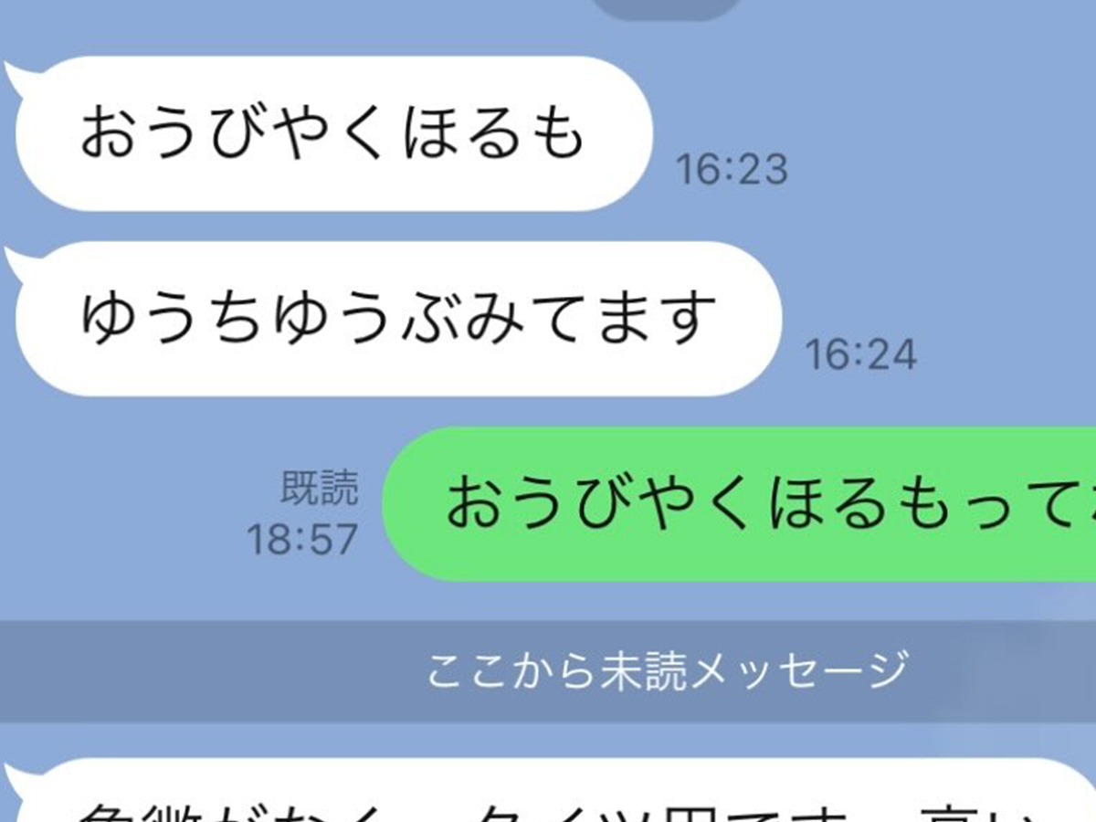 曾祖母とのLINE