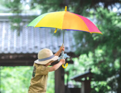 Masayaさんの写真