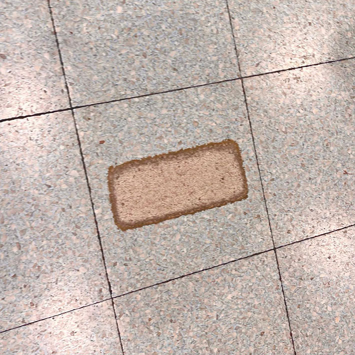 食べ物に見える地面の写真