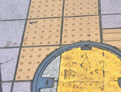 食べ物に見える地面の写真