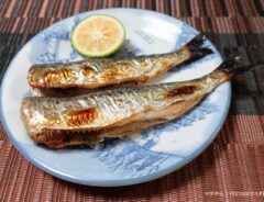 魚の写真