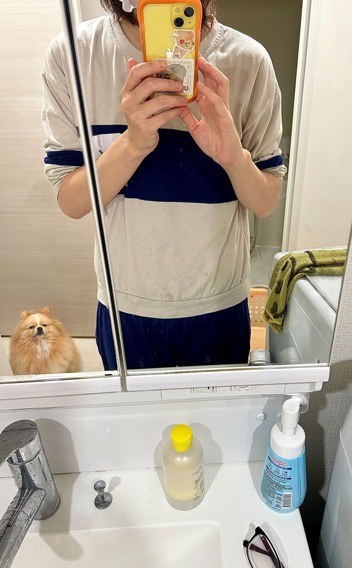 犬の画像