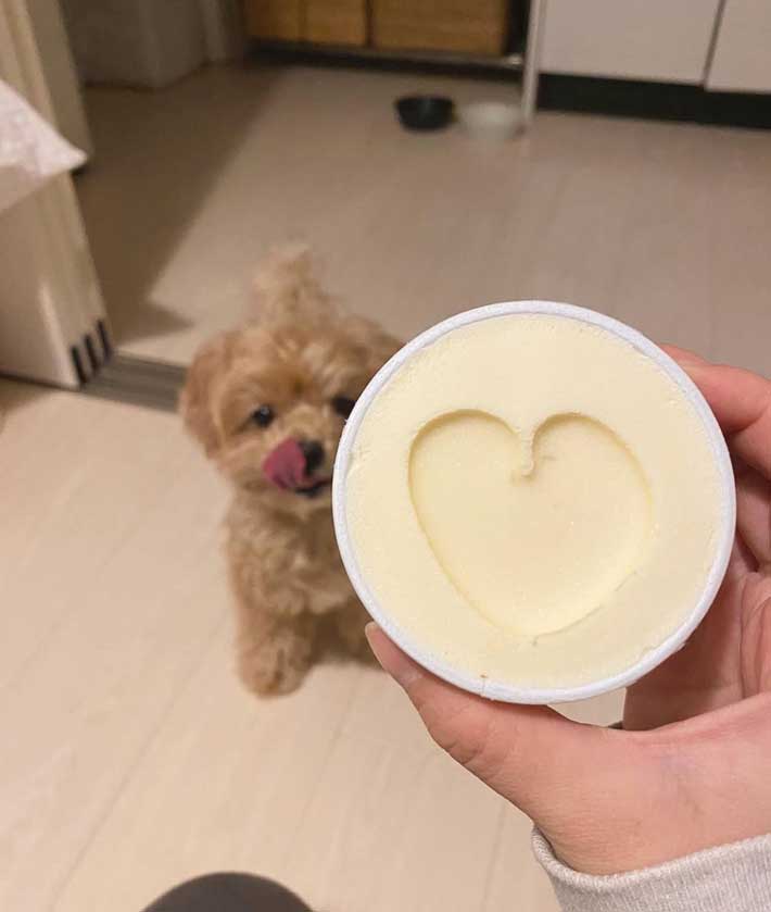 ハーゲンダッツの写真