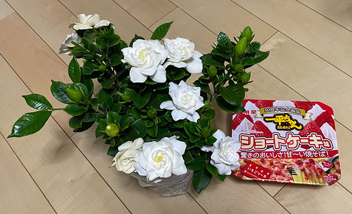 花とカップ焼きそばの写真