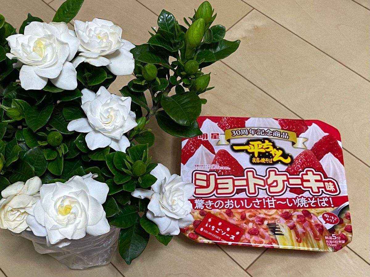花とカップ焼きそばの写真