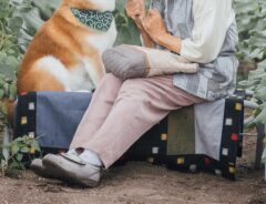 犬とおばあちゃんの画像