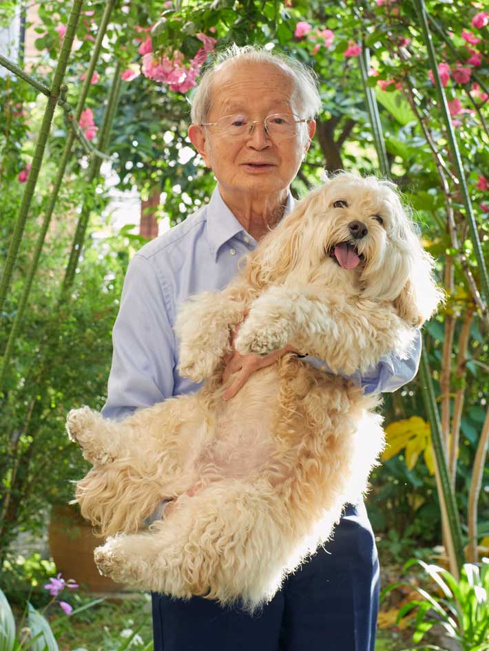 犬の画像