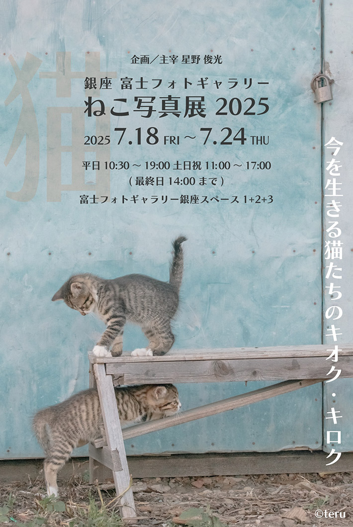 『銀座 富士フォトギャラリーねこ写真展 2025』