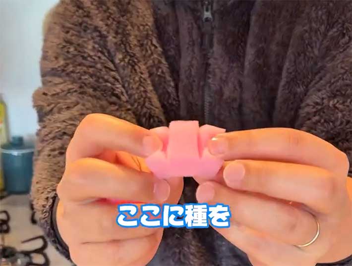 スポンジ