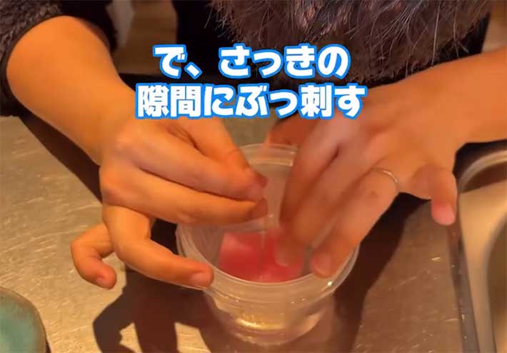 スポンジ
