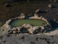 『ガニ湯』の画像