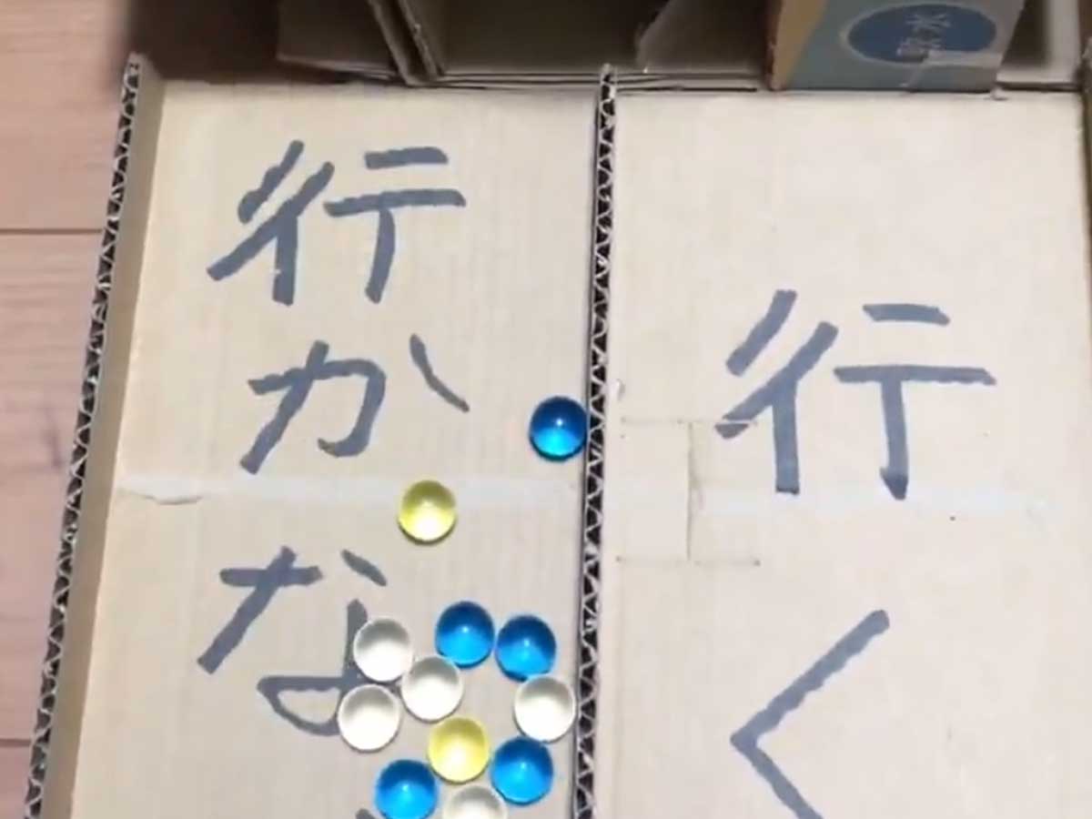 『行けたら行く』作品