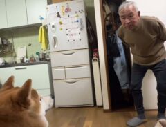 yamada_fuji_さんの投稿動画