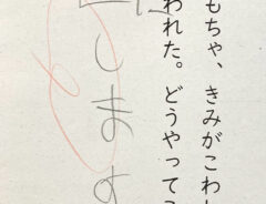 自閉症息子の回答の写真