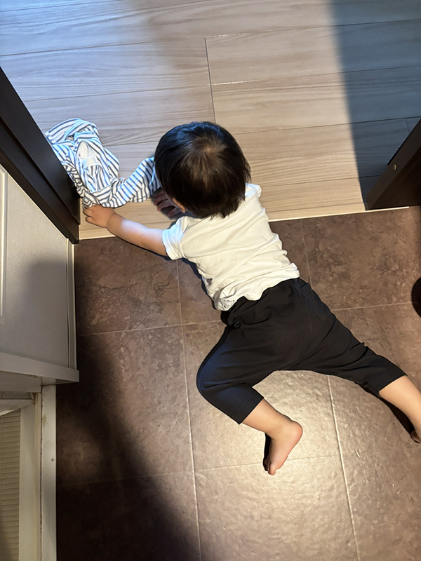 １歳児の写真