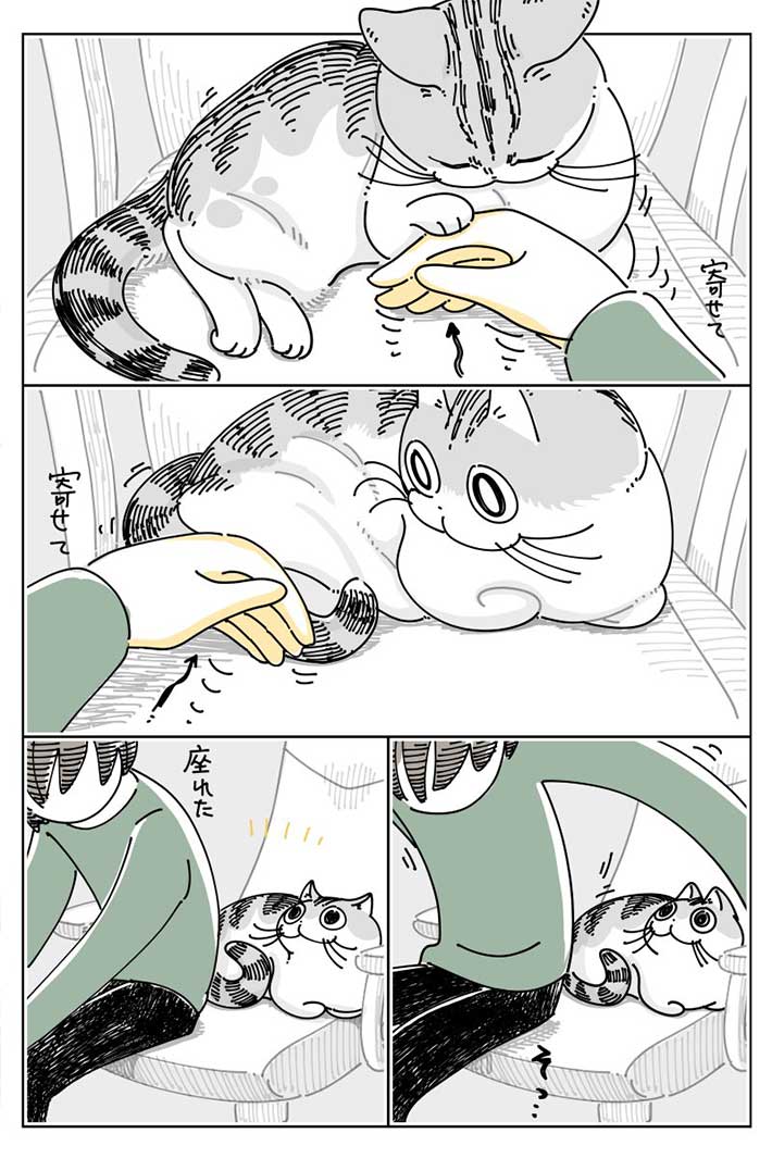 漫画『ちょっと寄せてもらう』