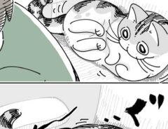 漫画『ちょっと寄せてもらう』