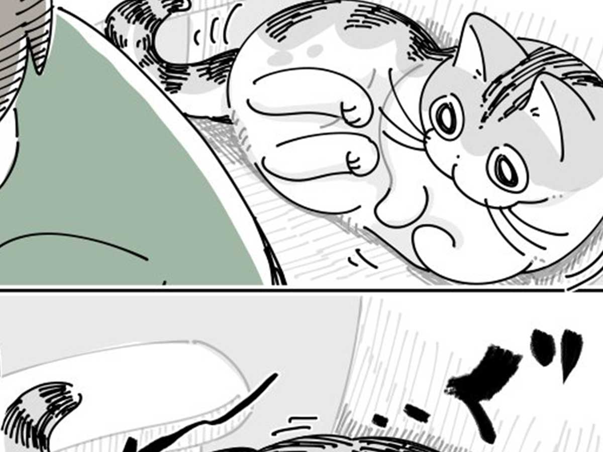 漫画『ちょっと寄せてもらう』