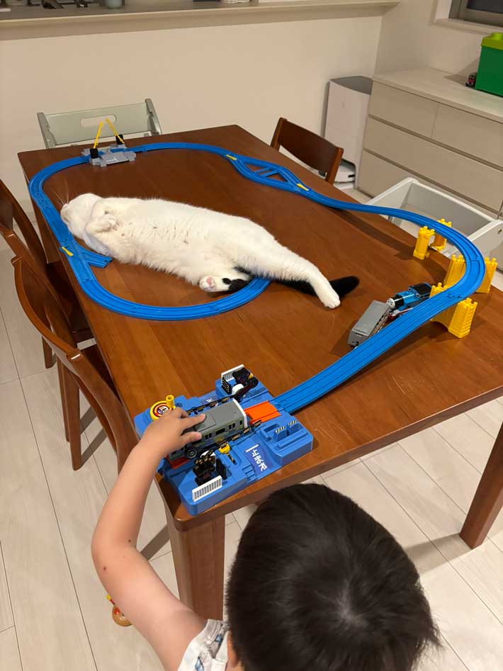 子供と猫の画像