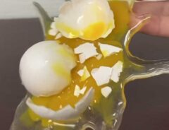 食品サンプルの画像
