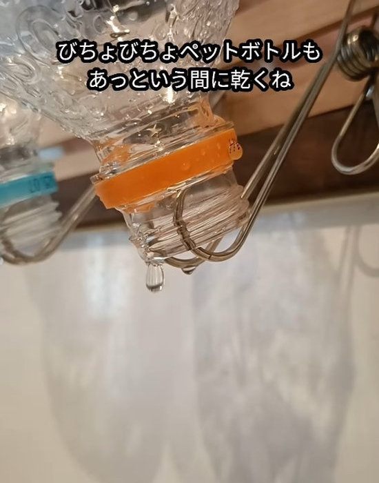 フック部分にペットボトルを差し込んだ様子