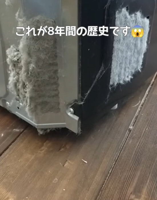 冷蔵庫裏に溜まったホコリ