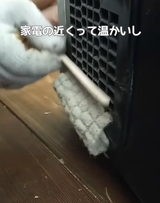 冷蔵庫裏に溜まったホコリを取り除いている様子