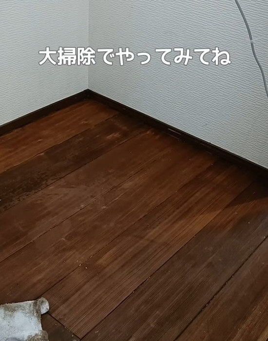 きれいになった冷蔵庫のスペース