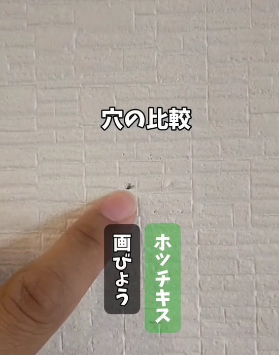画びょうとホッチキスの穴を比べている様子