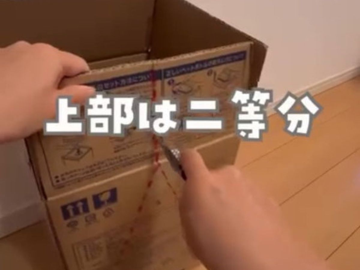 段ボール