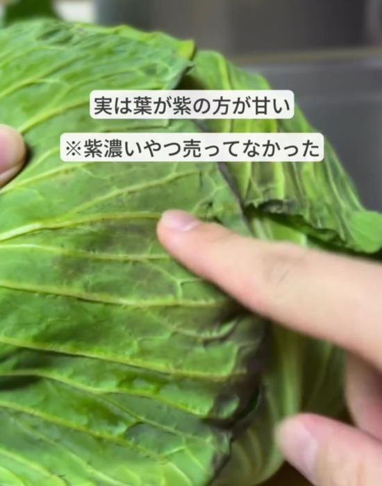 キャベツを指さす様子