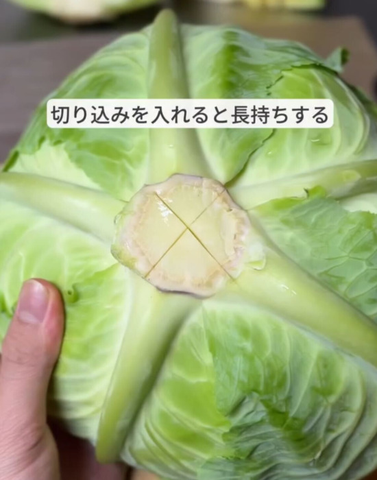 芯に切り込みを入れたキャベツ