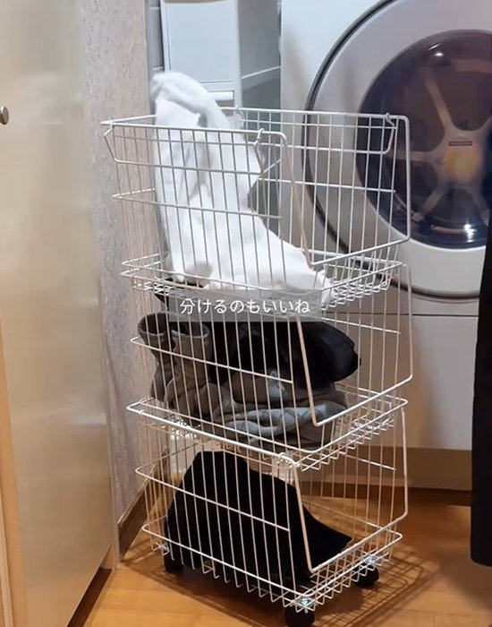 用途に合わせて使いやすい