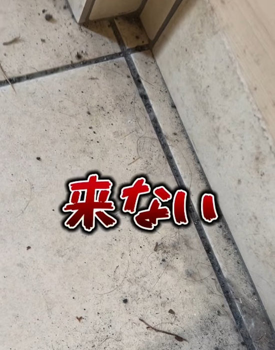 汚れた状態の玄関タイル