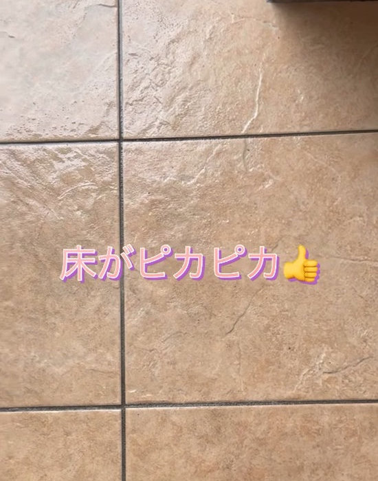 きれいに掃除された玄関タイル