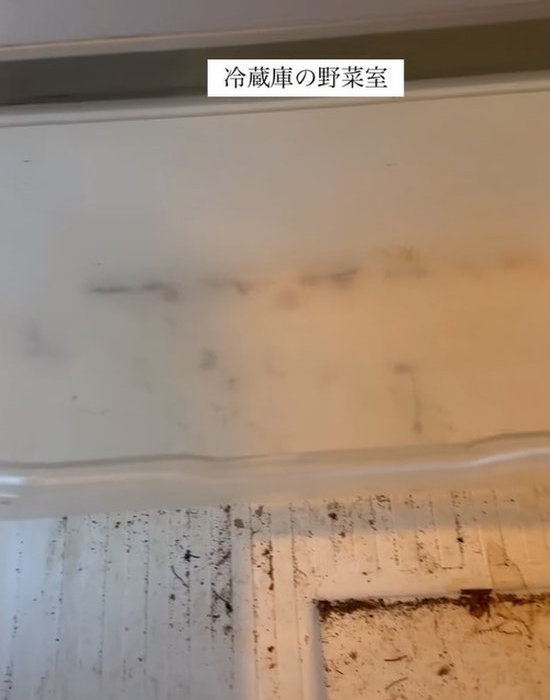 汚れた野菜室