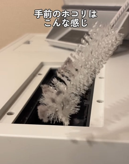 ブラシの先端にホコリが付いた様子