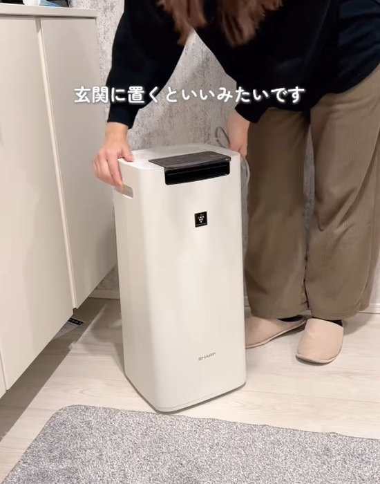 空気清浄機を玄関に置く様子