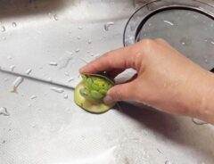 大根のヘタ