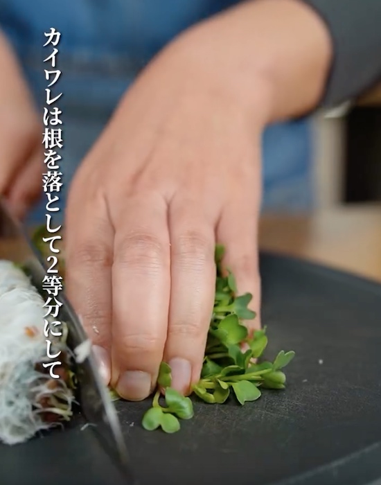 カイワレ大根を切る様子