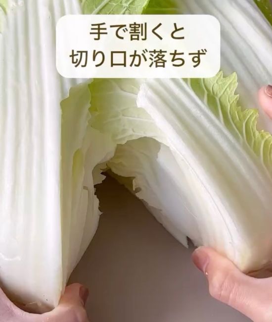 切り込みを入れた白菜の芯の部分を手で左右に割く様子