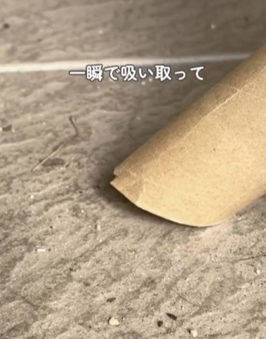掃除機に付けたトイレットペーパーの芯でゴミを吸い取る様子